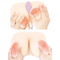 Öwςꂭ@q~ނ̒